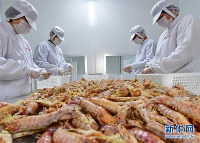 河北曹妃甸 冬日加工海鮮忙 銷售