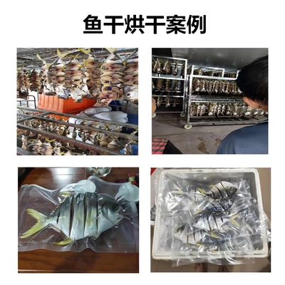 水產品烘干機 高效加工魚干與蝦干的現代化解決方案