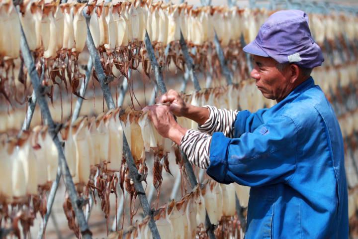 秋風起，曬鲞忙——傳統美食的市場新機遇