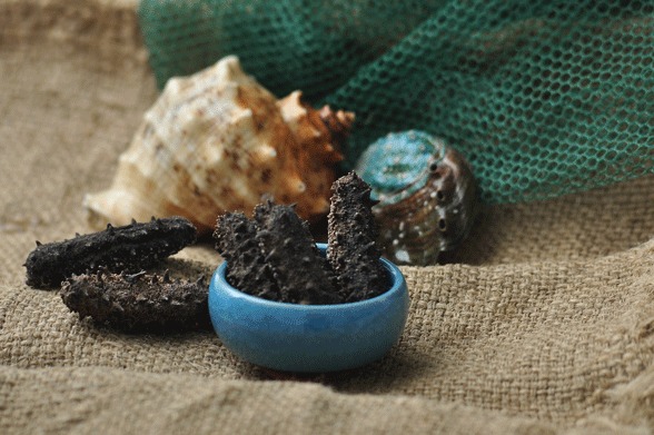 國內三大海參產地探秘 品質、特色與市場銷售全景