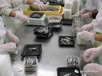 光大出國 把握機(jī)遇，成就未來——北海道海產(chǎn)與豐田汽車零部件加工項(xiàng)目再啟航