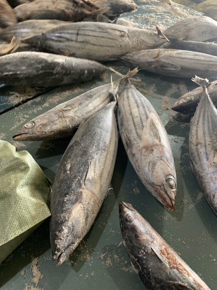 冷凍食品加工與批發(fā) 從西瓜皮魚到燈光海產(chǎn)品的市場機(jī)遇