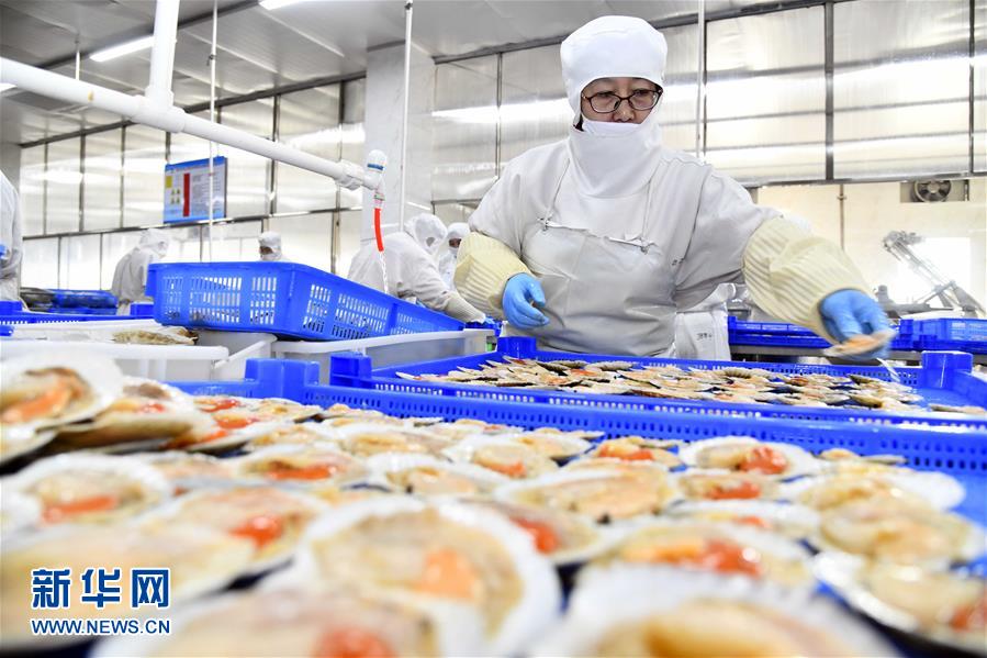 積極發(fā)展海洋食品加工產(chǎn)業(yè)，構(gòu)建全產(chǎn)業(yè)鏈協(xié)同發(fā)展新格局
